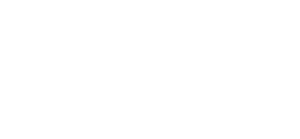 netgame