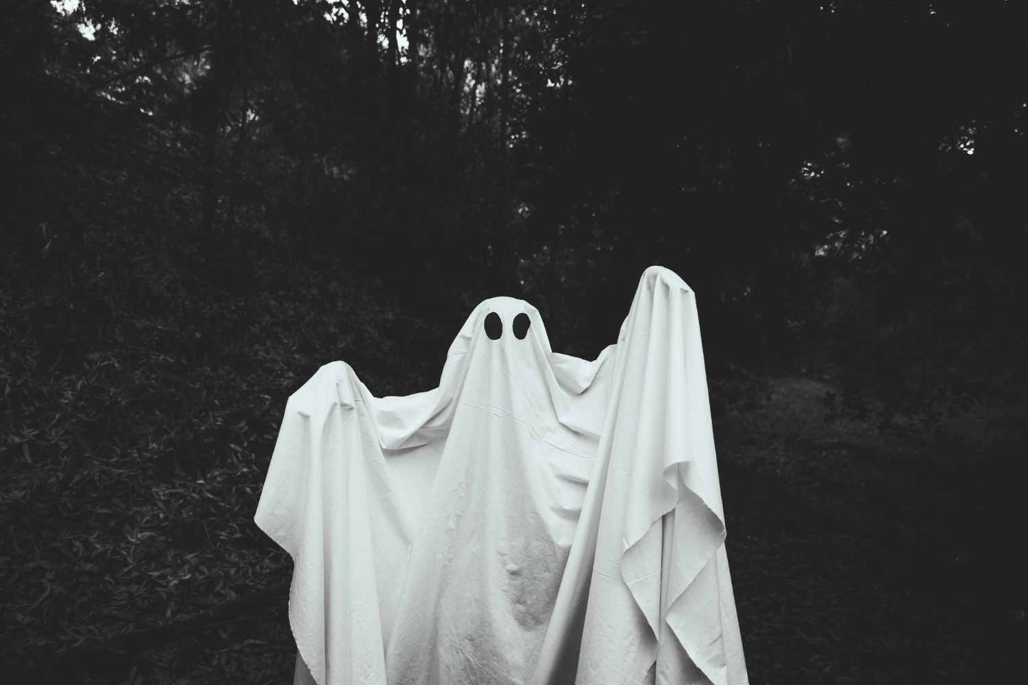 mimpi dikejar hantu